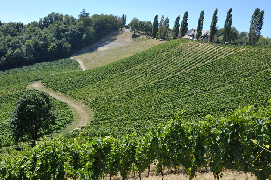 Vins Autriche Styrie Steiermark Blog