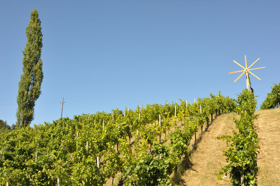 Vins Autriche Styrie Steiermark Blog