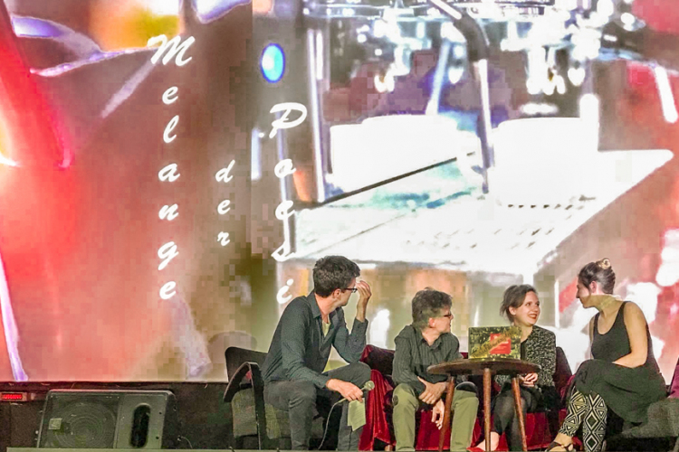 Présentation du livre et du film „Melange der Poesie“ & Exposition, Lichtspiel Kino & Kultursalon, Bamberg, Allemagne - 2018