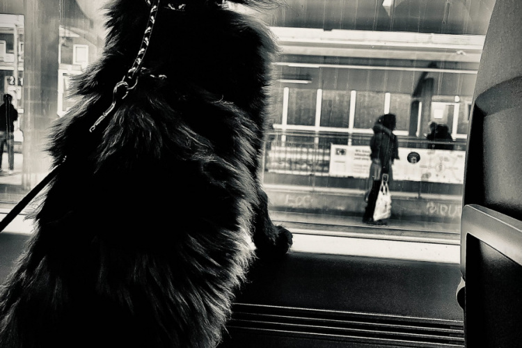 MuKi, Gare de Bochum, Allemagne - 2023