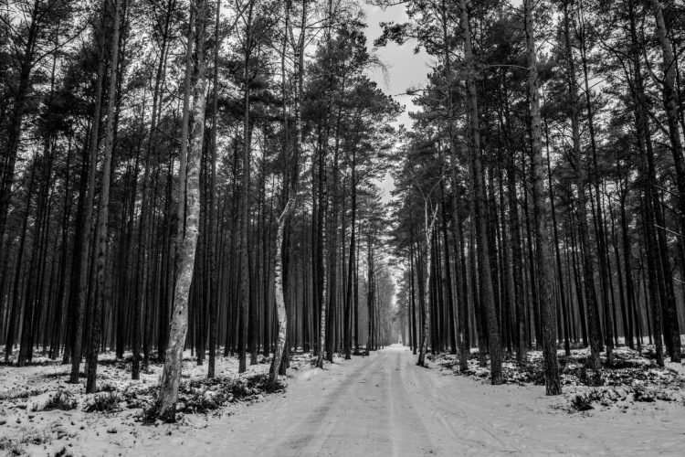 Usedom, Allemagne - 2026