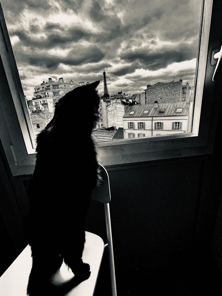 MuKi, Paris - 2024
