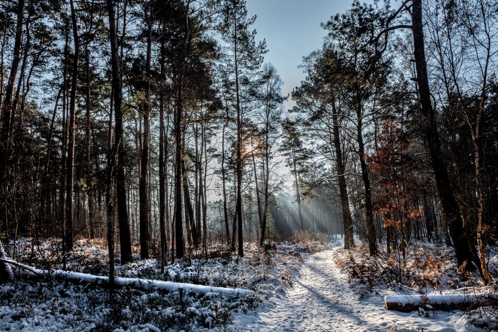 Usedom, Allemagne - 2026